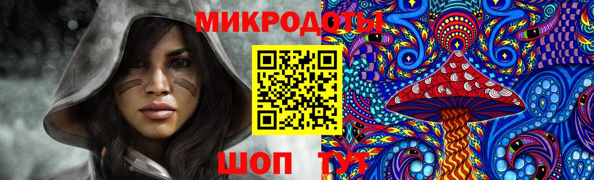 Якутск  Псилоцибиновые грибы прущие грибы  Вход с VPN  Галлюциногенные грибы Psilocybine cubensis 